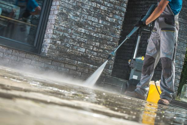 Best Animal Enclosure Cleaning  in Wrightstown, WI