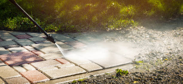 Best Driveway Pressure Washing  in Wrightstown, WI